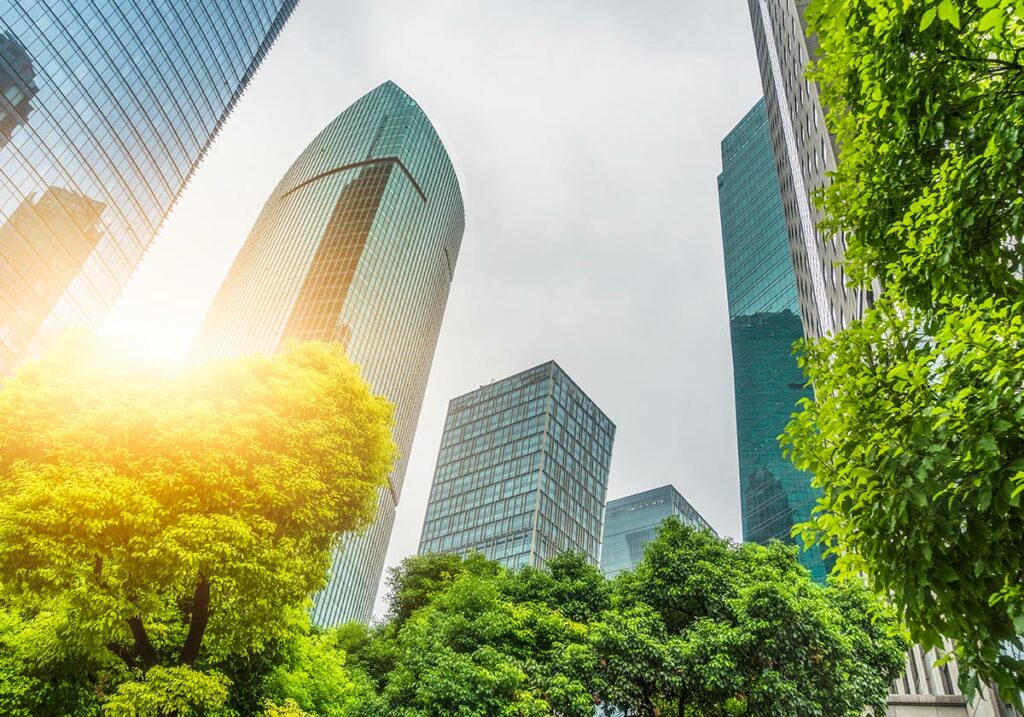 Trees growing in an urban environment